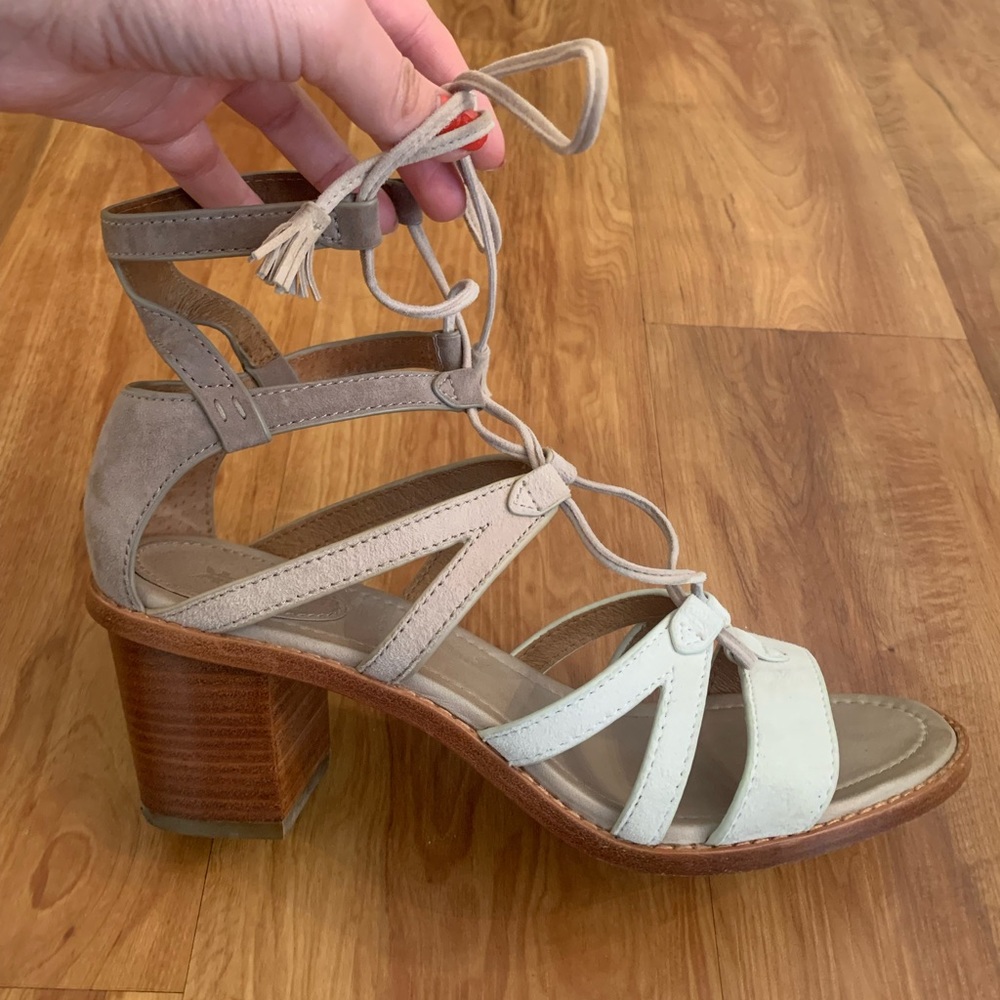 Frye gladiator sandals